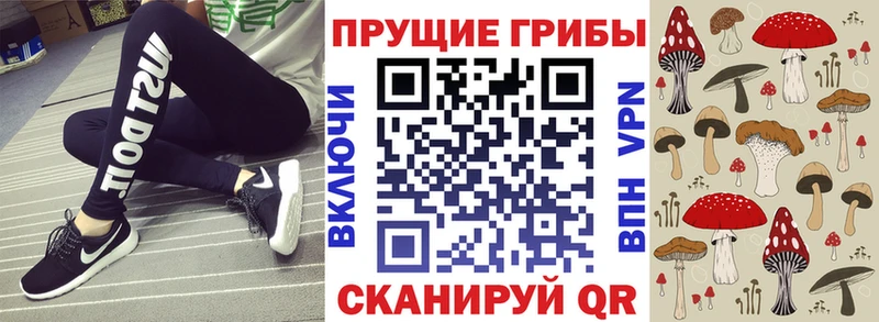 Галлюциногенные грибы Psilocybe  blacksprut ссылки  Глазов 