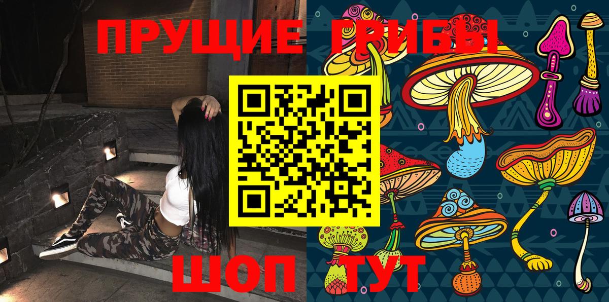 Псилоцибиновые грибы MAGIC MUSHROOMS  Вход с VPN  наркошоп  Глазов 