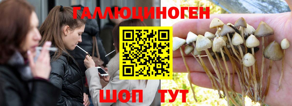 Галлюциногенные грибы Magic Shrooms Глазов