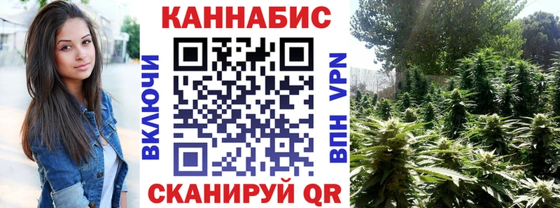 Канабис сатива Глазов